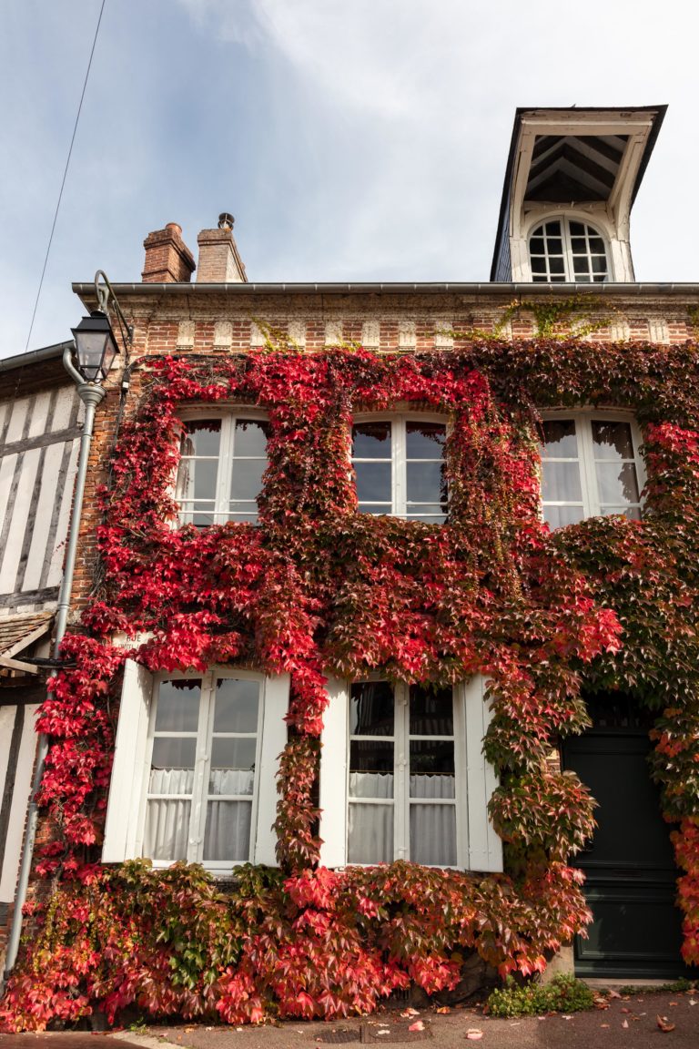 Octobre - Lyons la Forêt (Normandie)