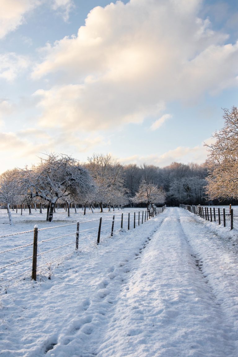 Janvier - Normandie