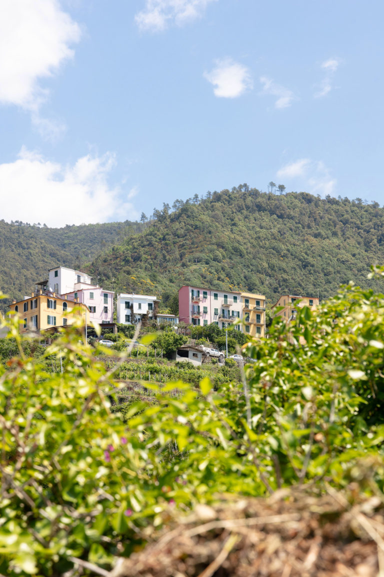 Juin - Corniglia (Cinque Terre)