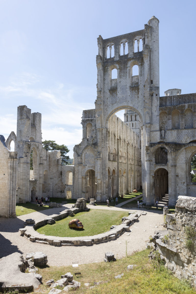 Mai - Abbaye de Jumièges (76)